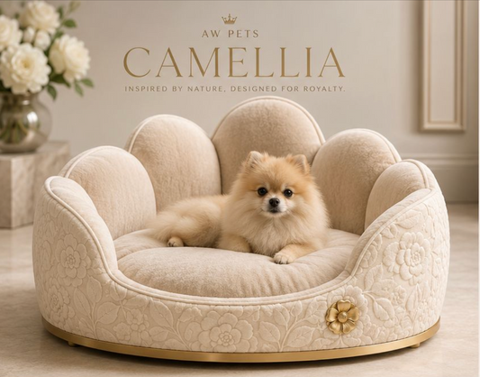 CAMELLIA